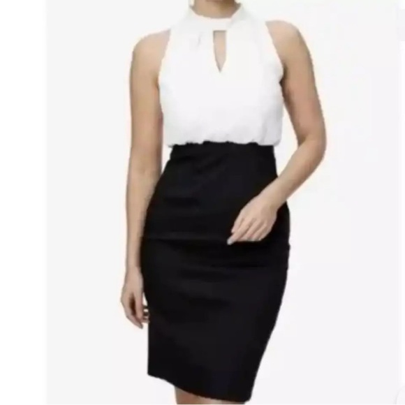 Ted Baker V Cut Out Neck Mockable Black & White Sleeveless Dress size 2